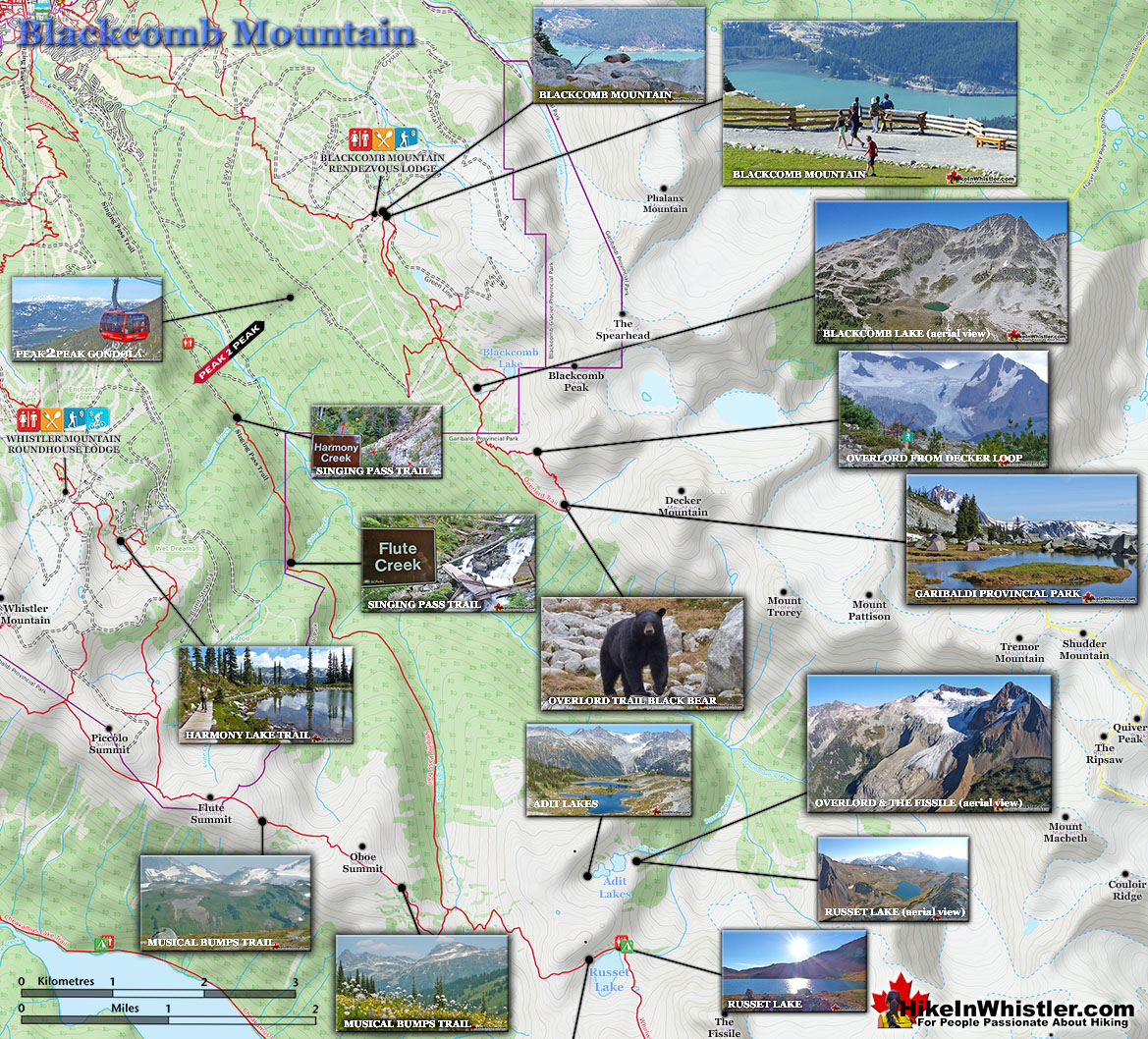 Blackcomb Mountain Map v4