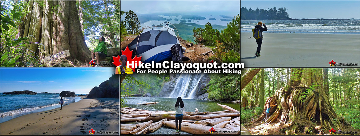 Hike Clayoquot, Tofino and Ucluelet