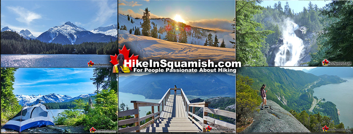 Best Squamish Trails Guides