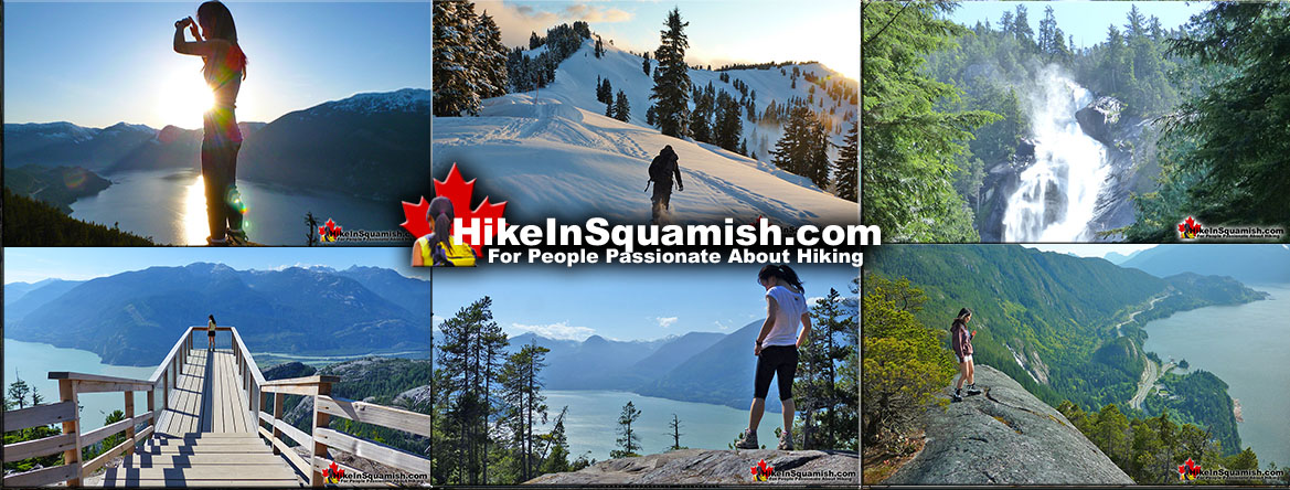 Best Squamish Trails Guides