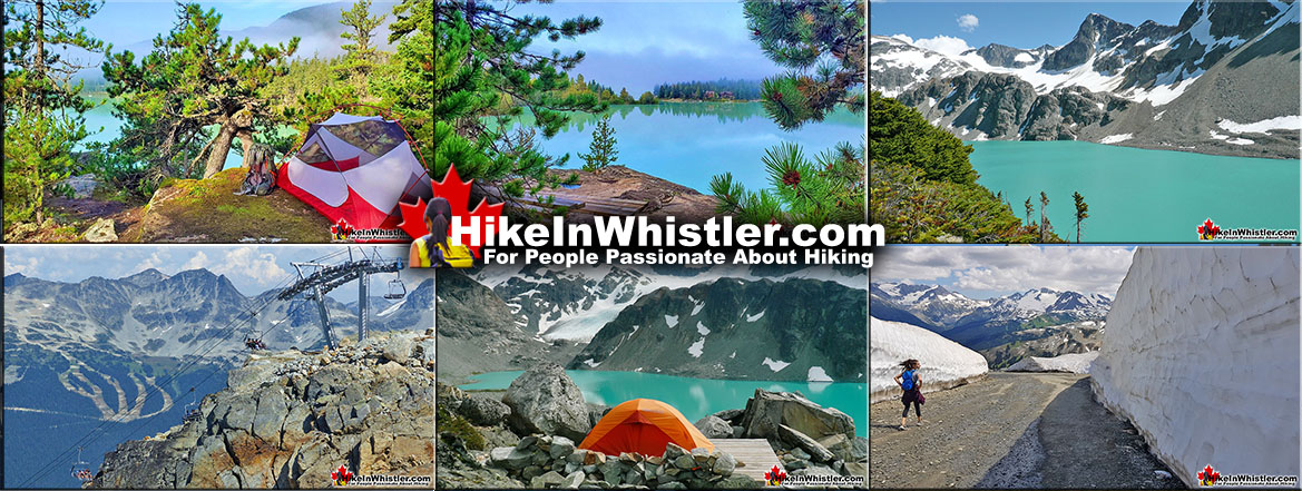 Best Whistler Hiking Trails 5