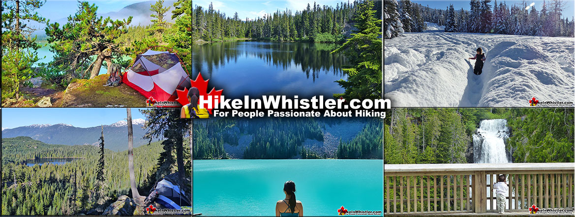 Best Whistler Hiking Trails 6