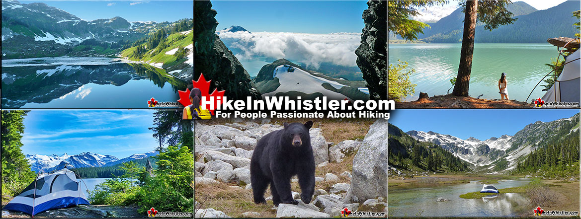 Best Whistler Hiking Trails 7