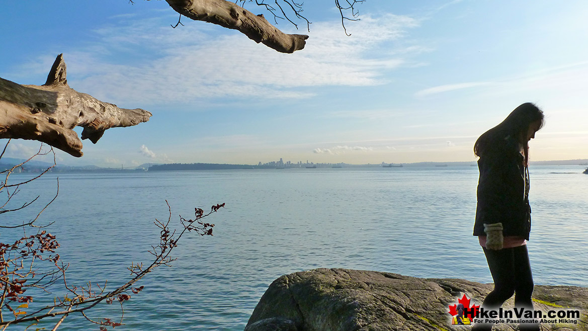 Lighthouse Park Hike in Vancouver