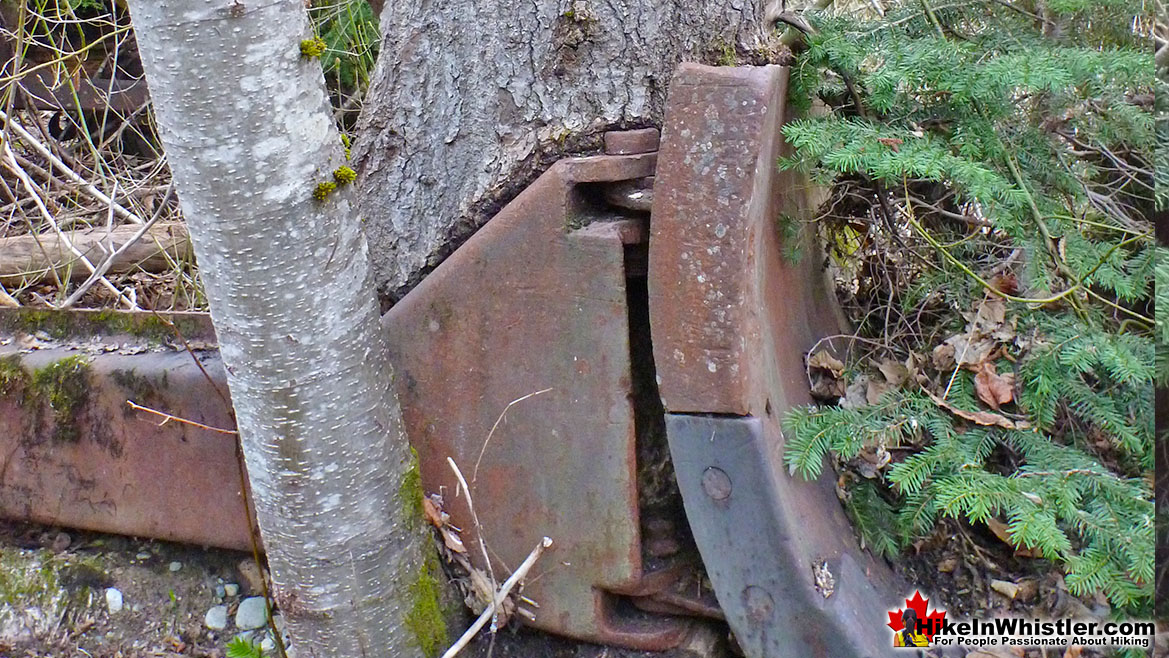 Parkhurst Plow With Tree Growing Through